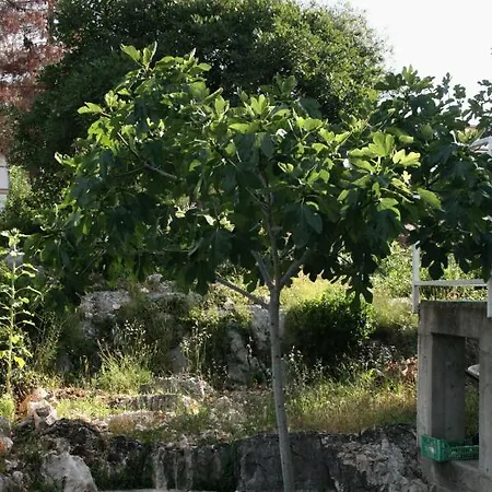 With Parking Space Jezera, Murter - 5109 شقة يزيرا